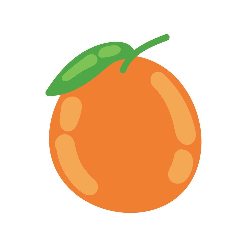 orange healthy food vector