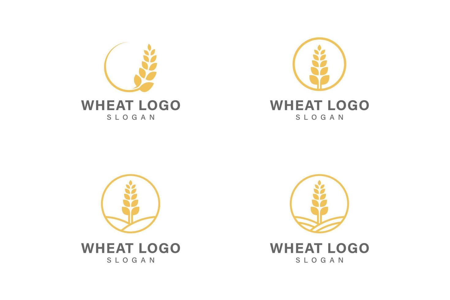 colección de vectores de diseño de logotipo de trigo