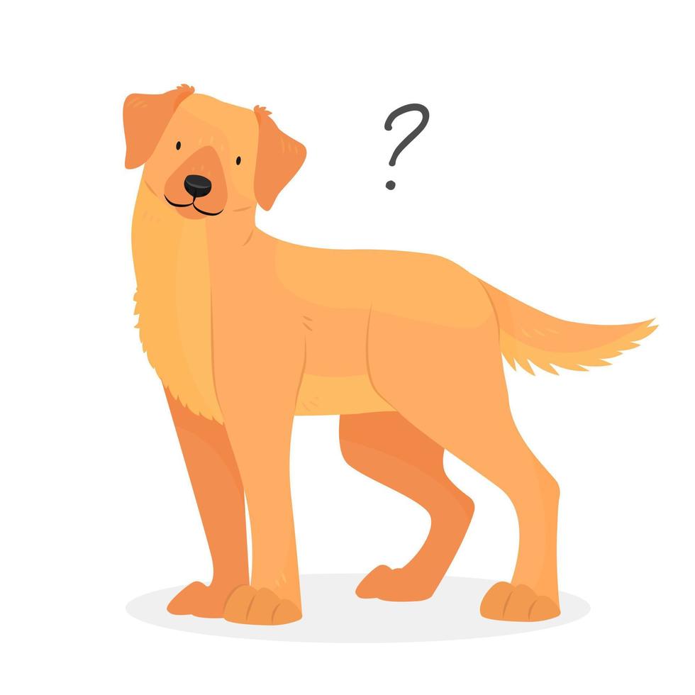 A Labrador or golden retriever dog with a question mark. Dog question. An uncomprehending dog with its head tilted. Vector pet illustration.