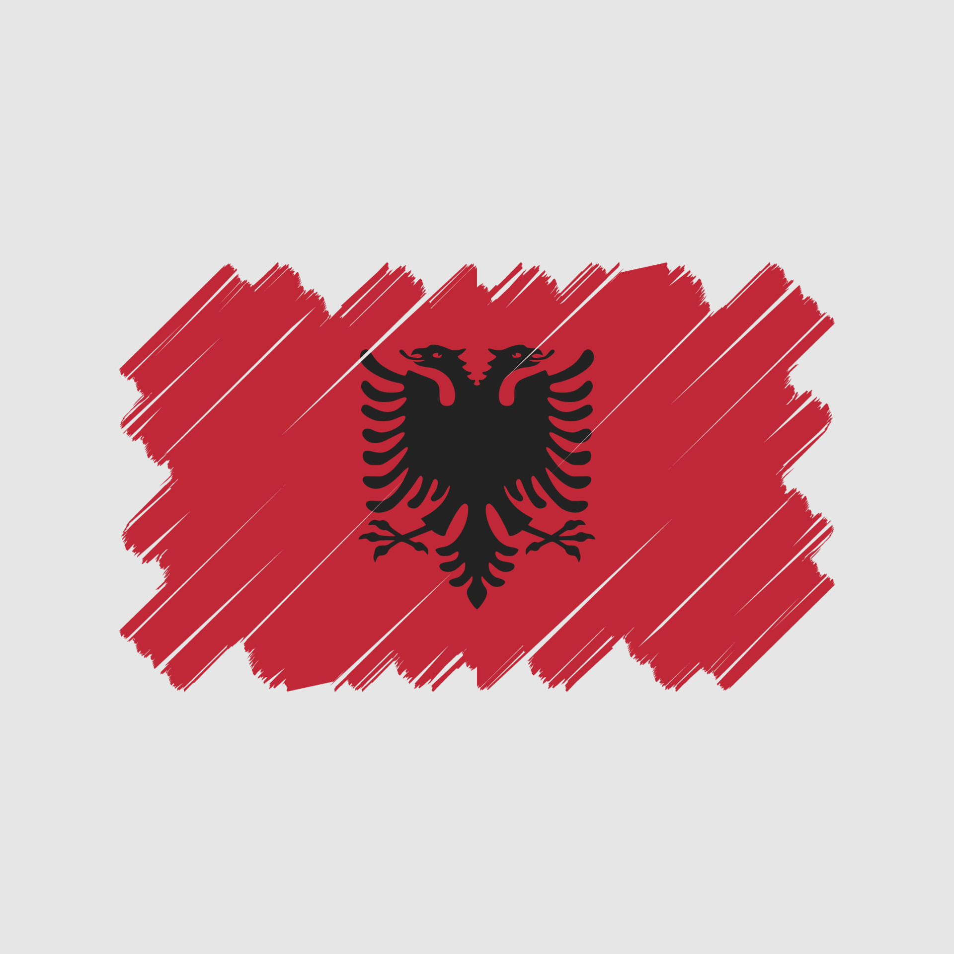 albanian eagle design