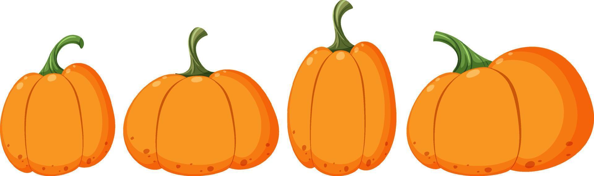 conjunto de diferentes formas de calabaza vector