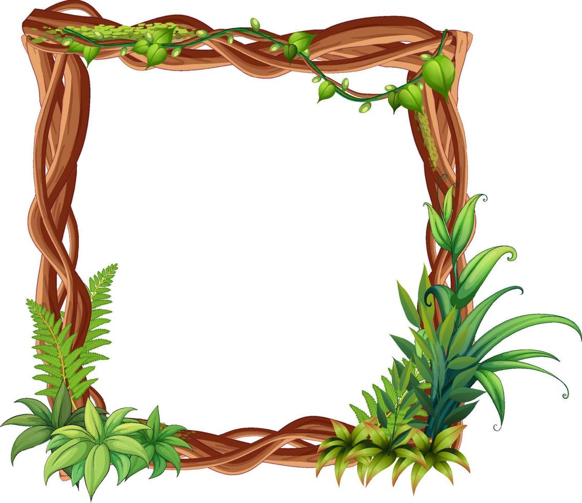 Frame of liana branches and leaves vector