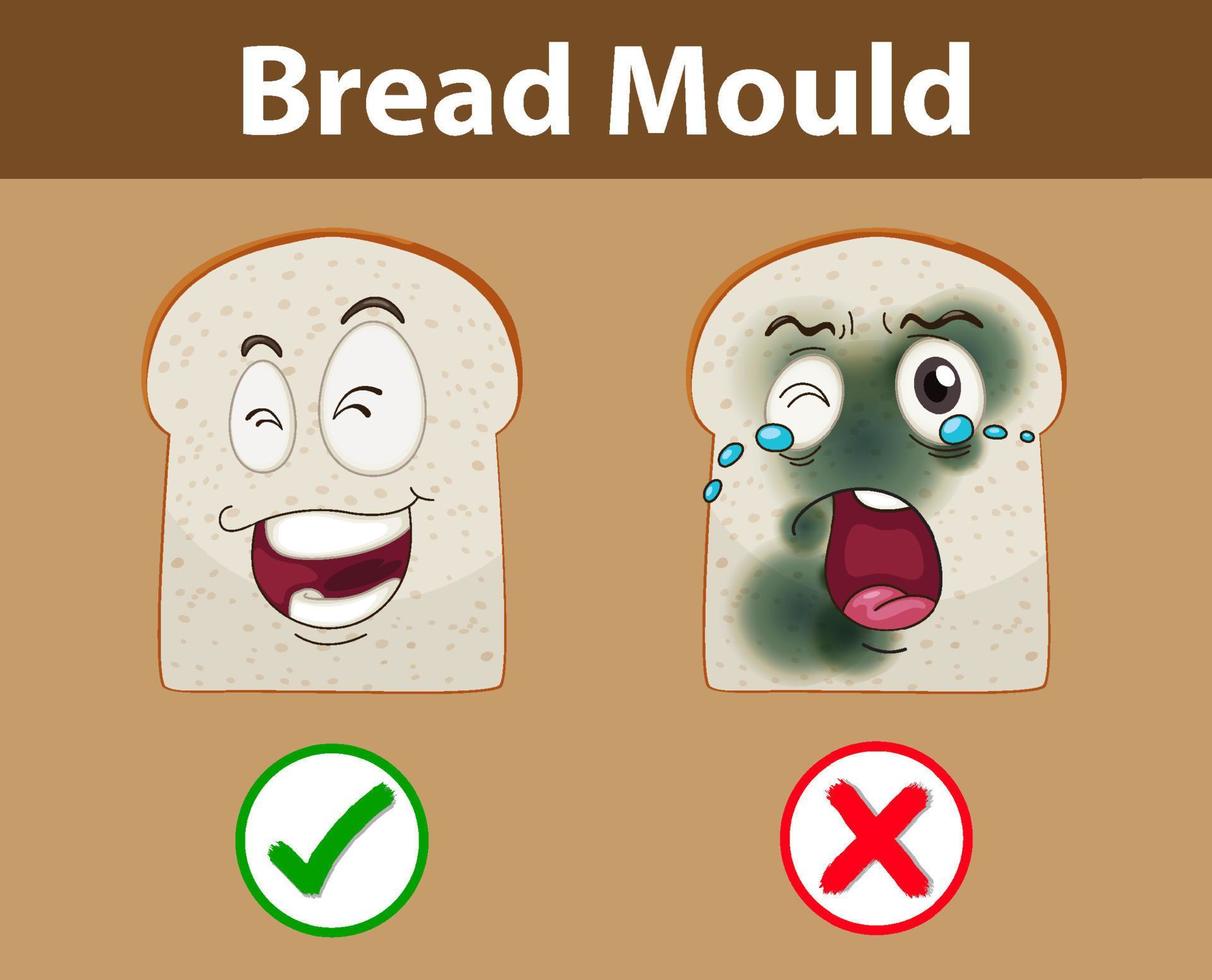 Inedible bread with mould vector