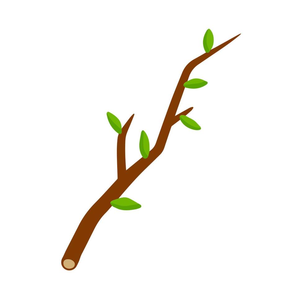 rama de árbol con hoja en la ilustración de fondo blanco. elemento vegetal de madera y naturaleza. ilustración plana simple vector