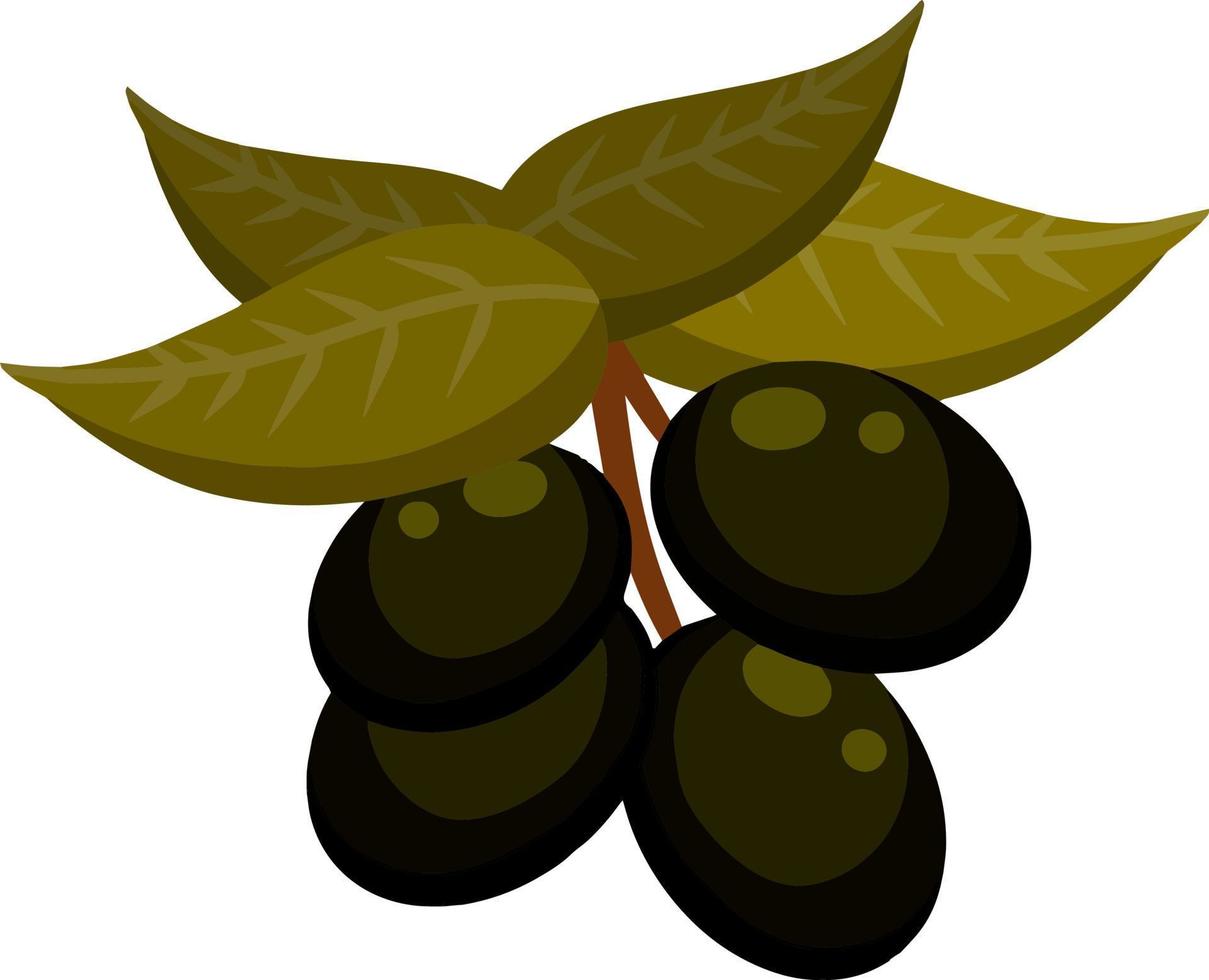 aceituna. verdura verde en rama con hojas. elemento de aceite y una dieta saludable. ilustración plana de dibujos animados aislado en blanco vector