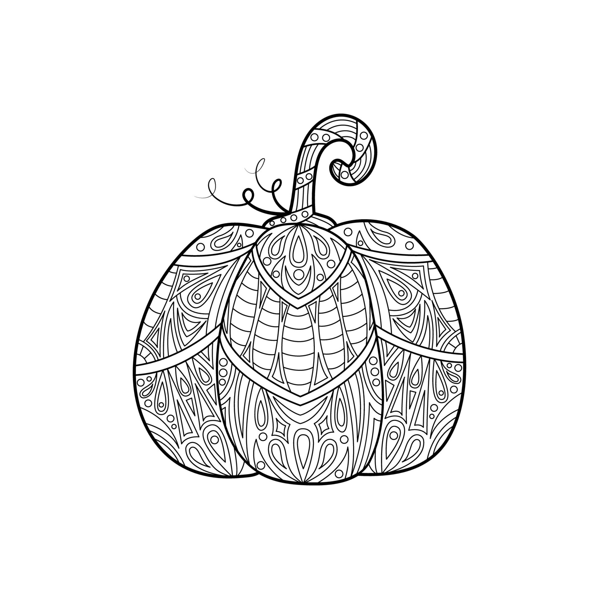 Vector pumpkin coloring page. Isolated autumn vegetable with decorative