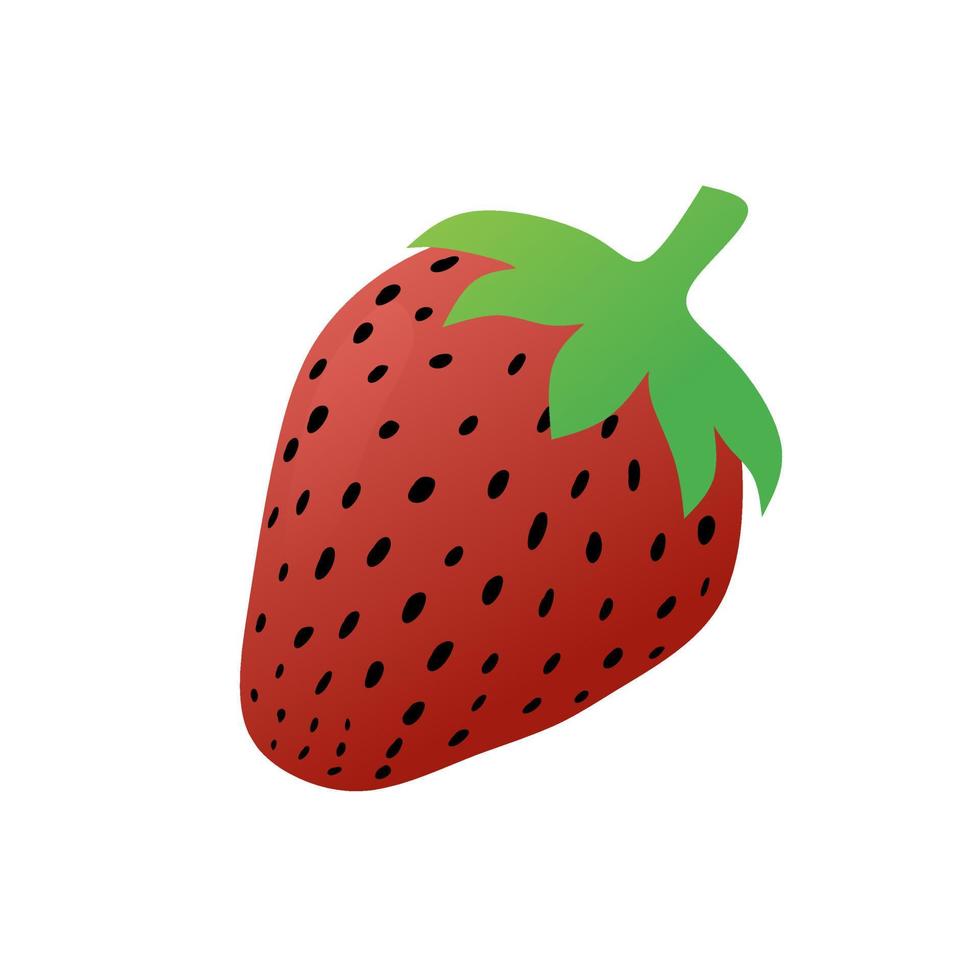 Ilustración de vector de fruta de fresa sobre fondo blanco