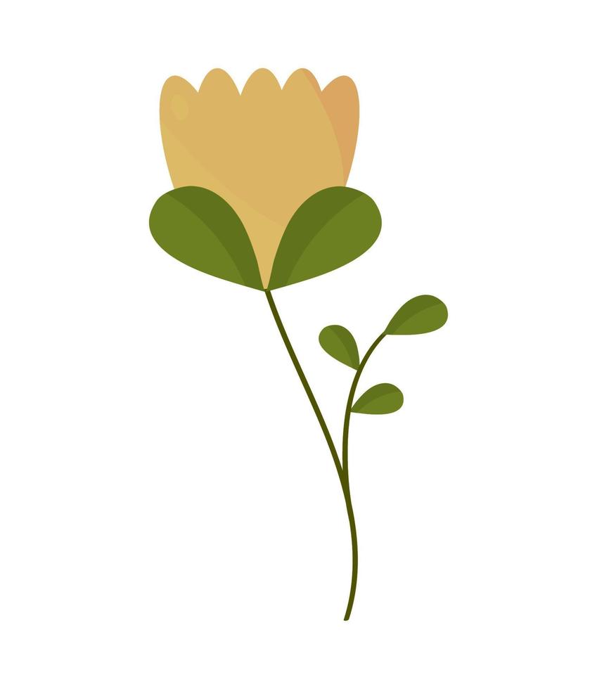 flower natural leaf vector