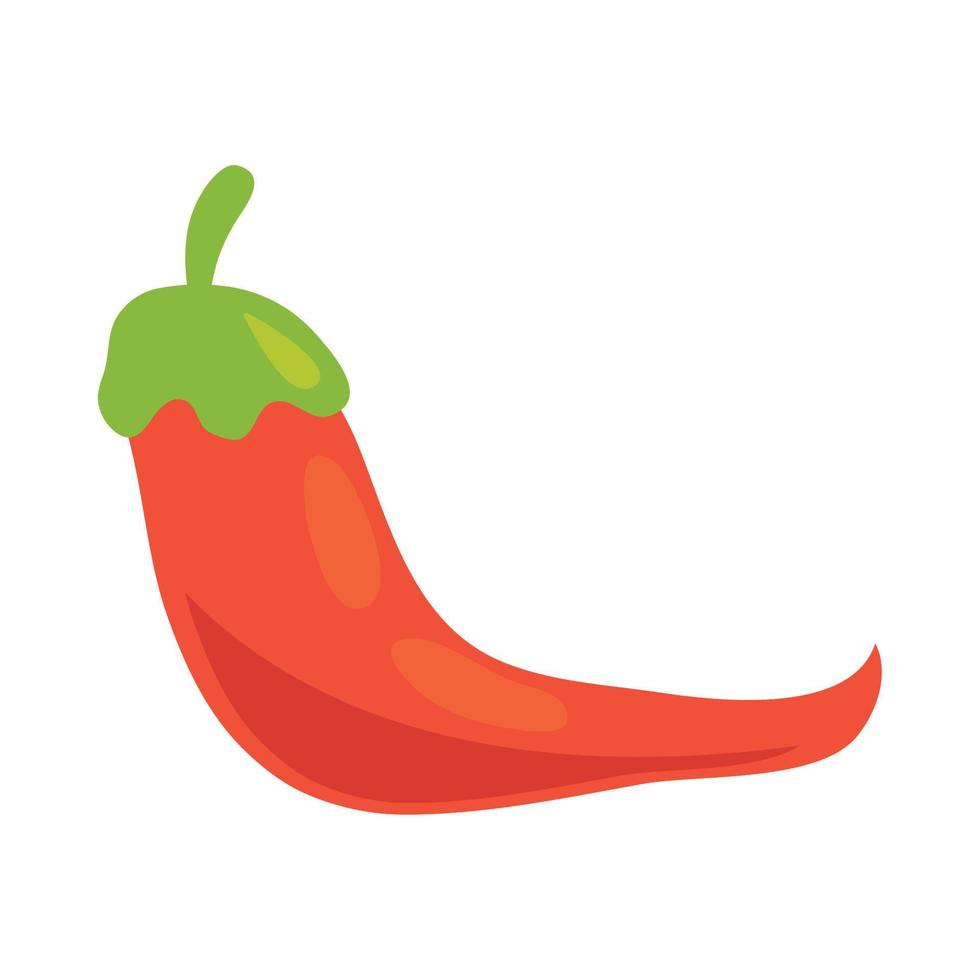 hot chili pepper vector