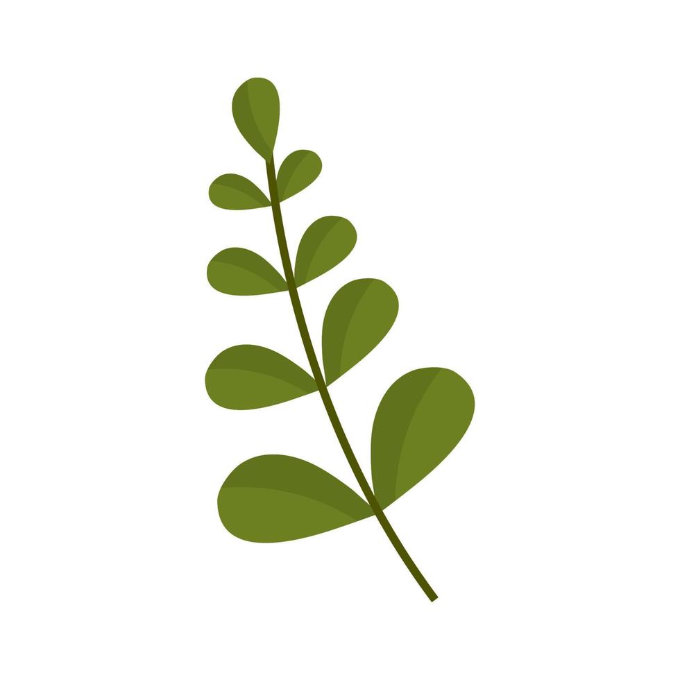 leaves foliage icon vector