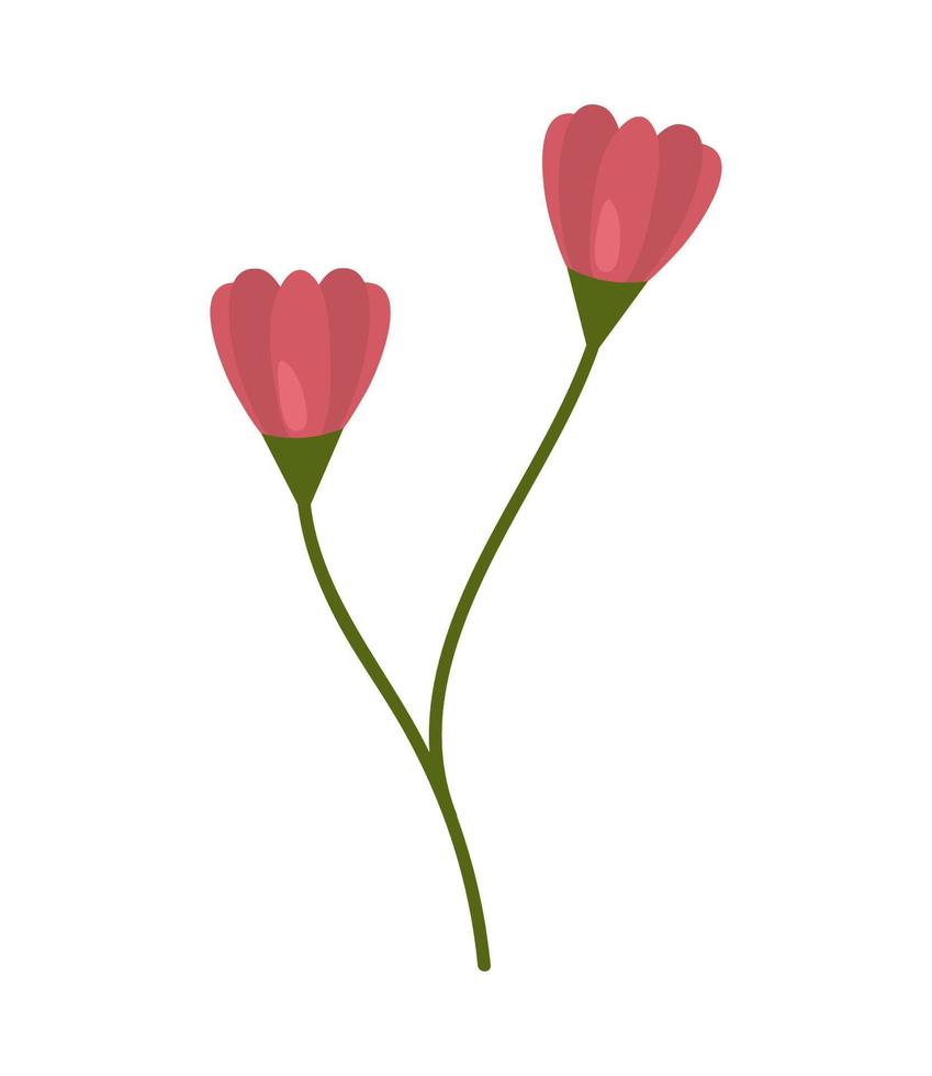 flowers stem icon vector