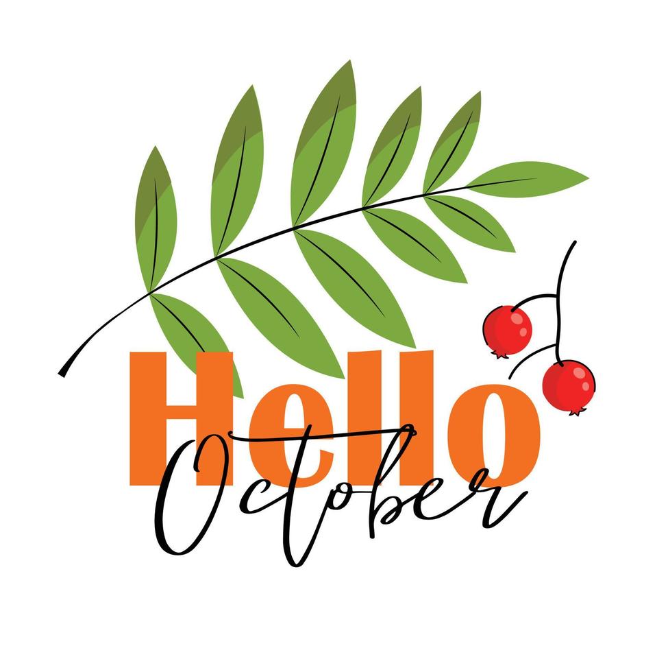 hello october fall lettering, sticker, banner, inscription theme with leaves of different colors,rowan. vector flat illustration. isolated on white background. Simple cartoon flat style.