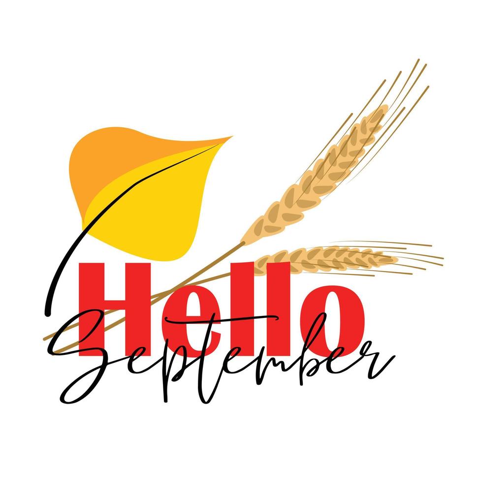 hello september fall lettering, sticker, banner, inscription theme with leaves of different colors, spikelets. vector flat illustration. isolated on white background. Simple cartoon flat style.