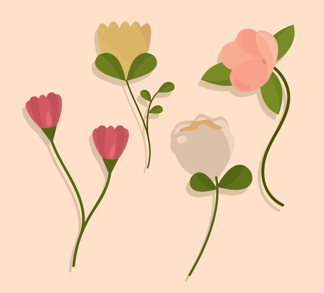 set flowers nature vector