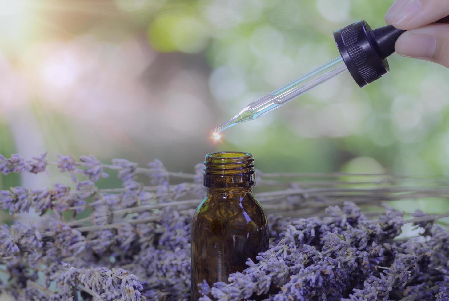 Lavender extract in small bottle near flowering lavender on wooden table with aromatherapy. Essential oil falling from glass dropper into organic bio alternative medicine, brown bottle feel relaxed. photo