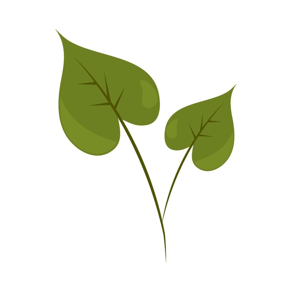 leaf plant icon vector