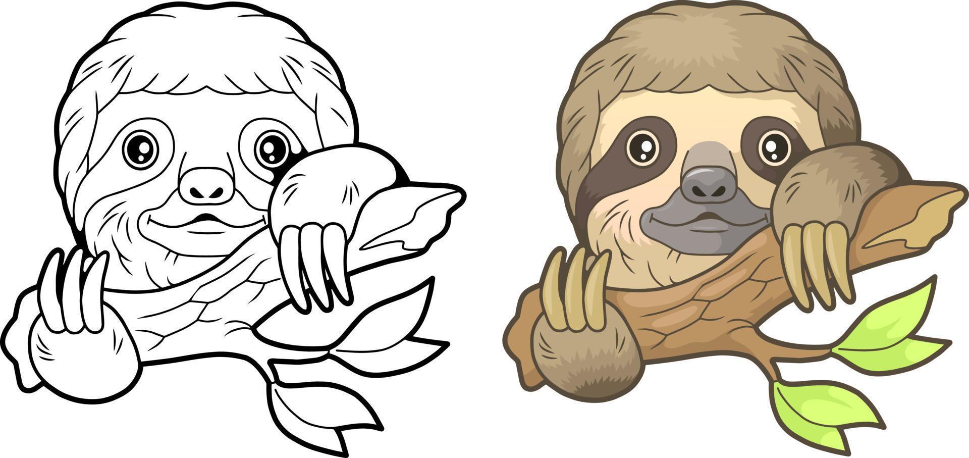 cute cartoon sloth vector