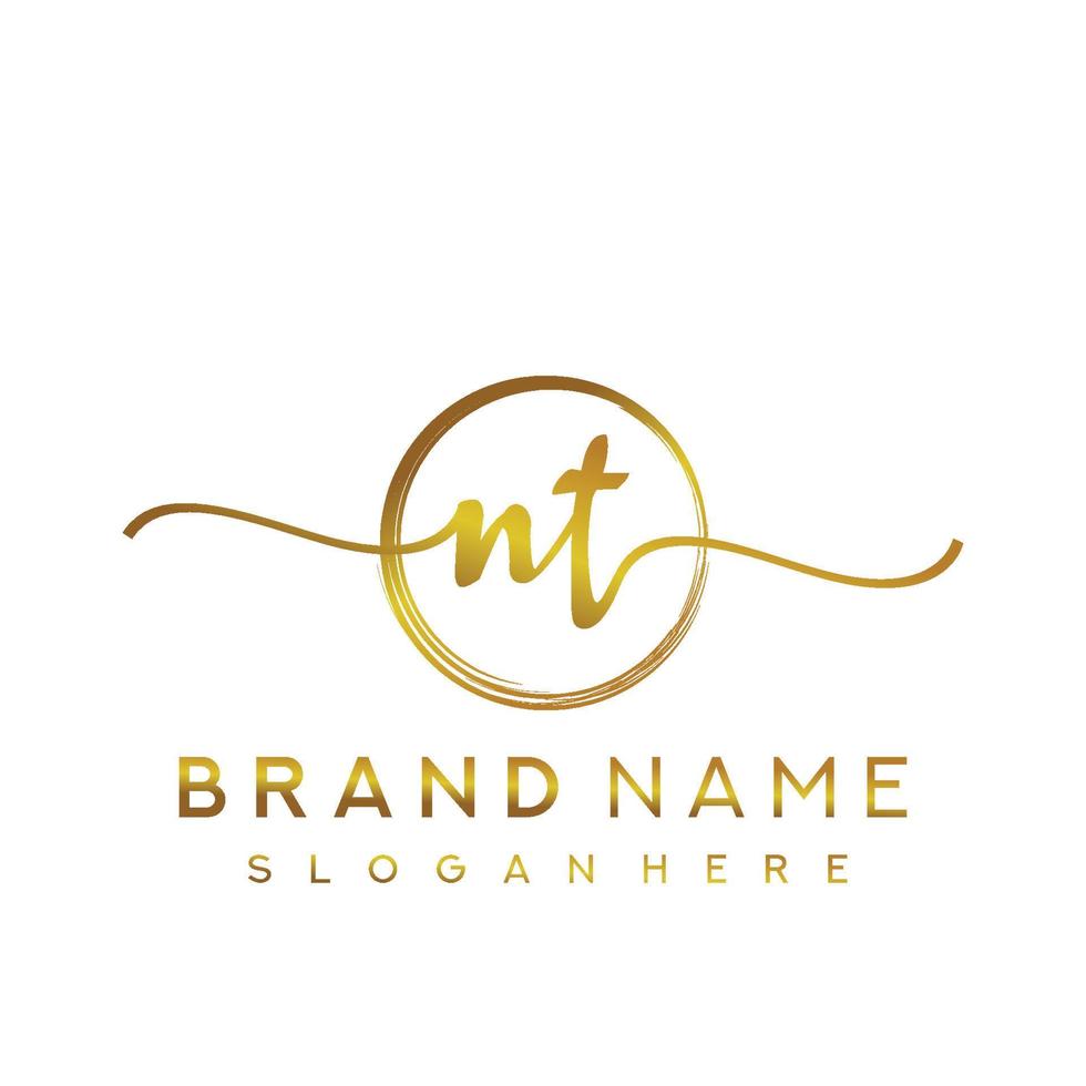 Initial NT handwriting logo with circle hand drawn template vector