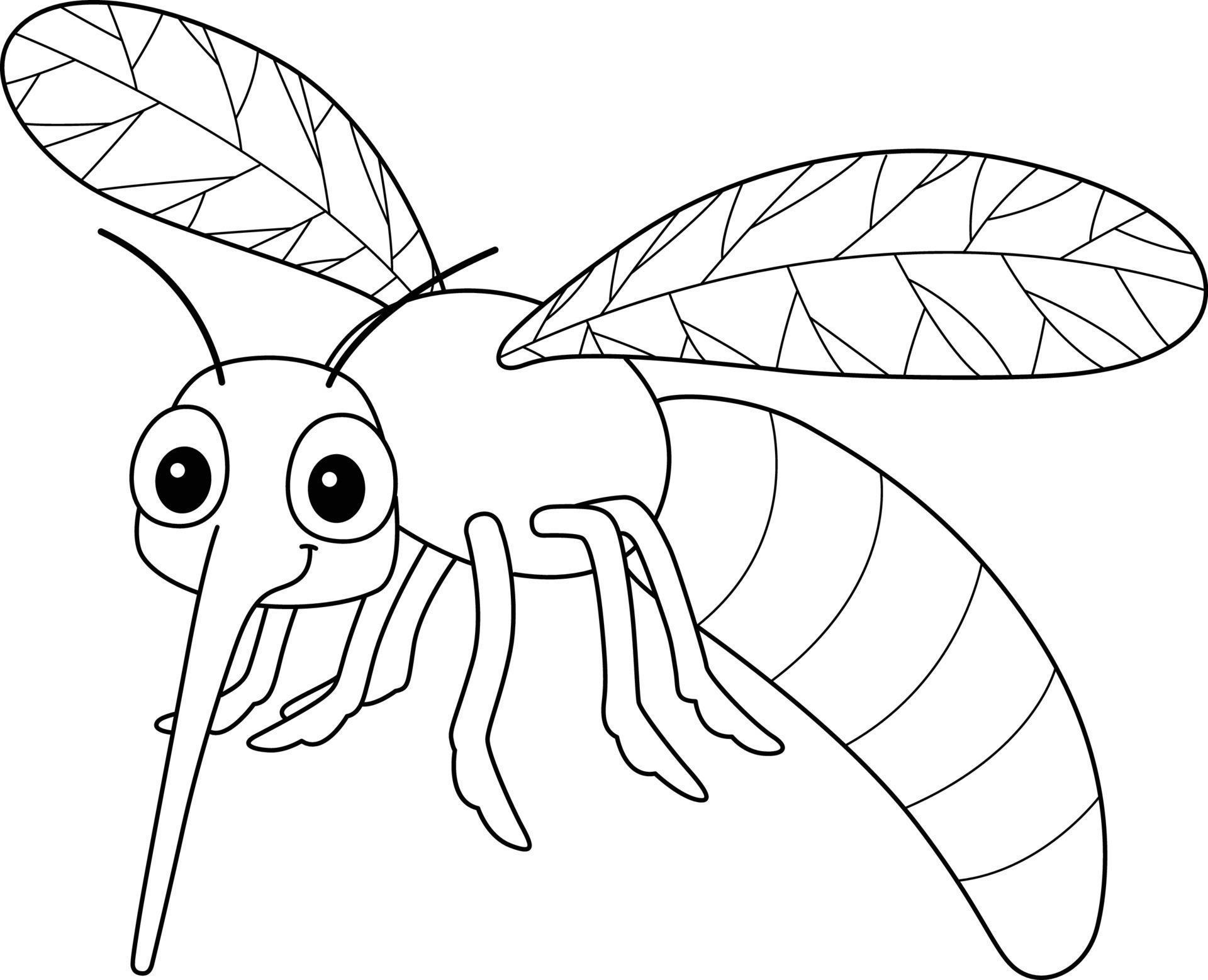 Mosquito Coloring Page For Kids Grafik Von Mybeautifu - vrogue.co
