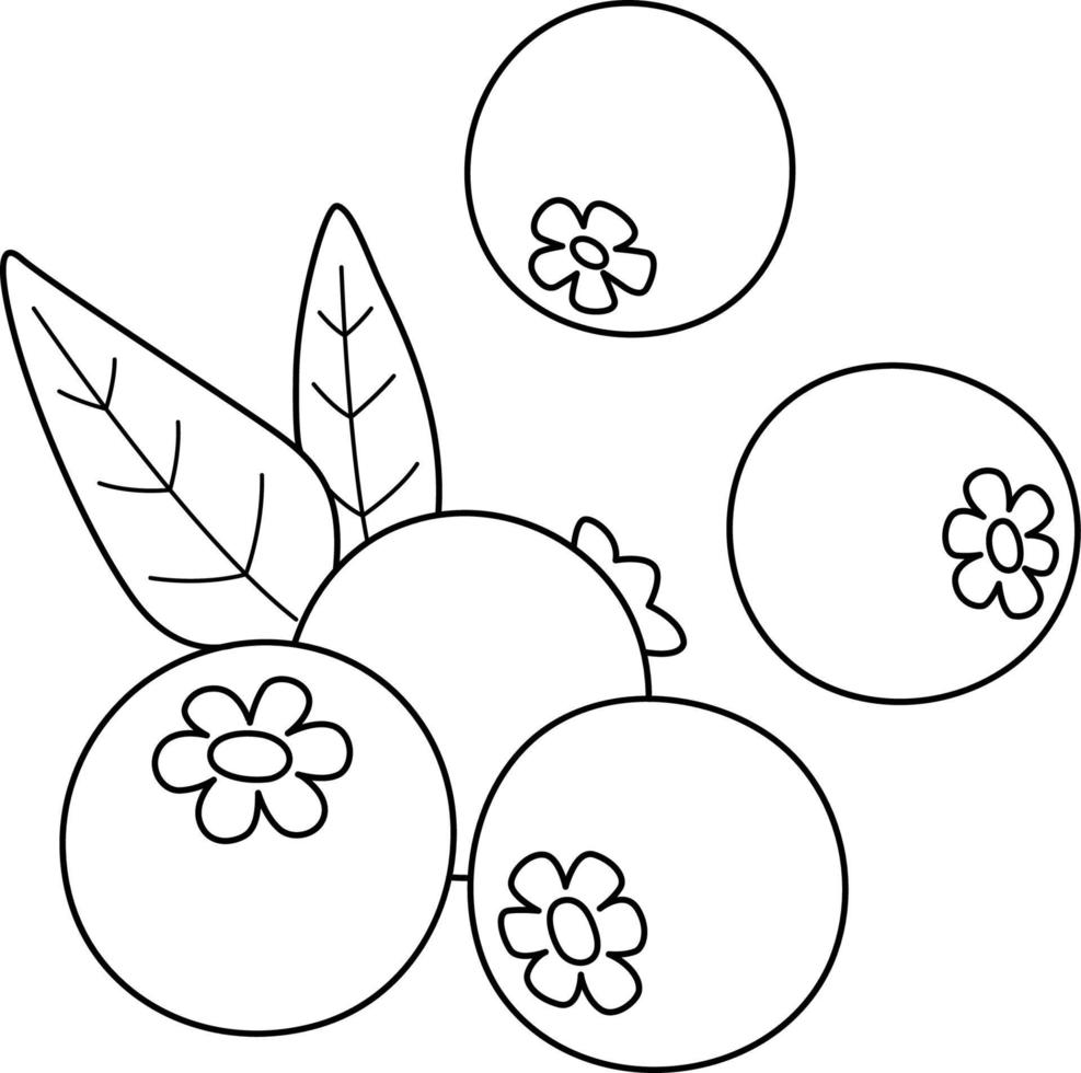 Blueberry Fruit Isolated Coloring Page for Kids vector