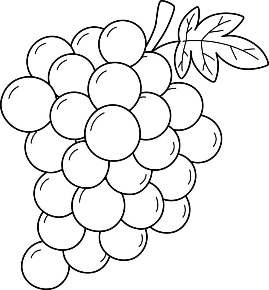 uvas fruta aislado página para colorear para niños vector