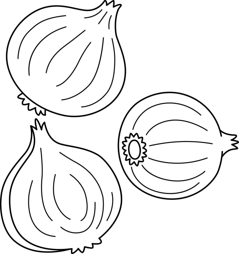 Cebolla vegetal aislado para colorear página para niños vector