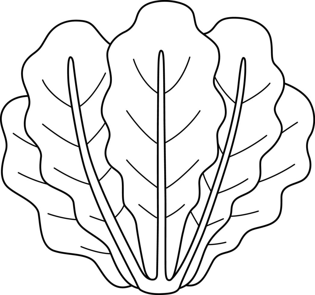 Romaine Lettuce Vegetable Isolated Coloring Page vector