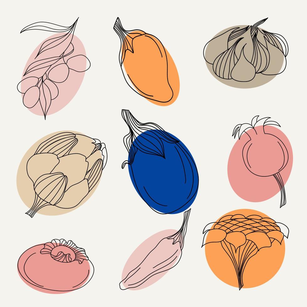 Set of fruits and vegetables, sunflower, artichoke, pomegranate, pepper, eggplant, persimmon, olives, and garlic vector