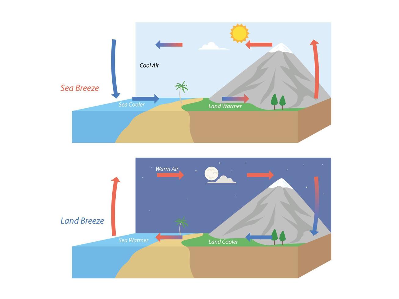 Diagram showing circulation of sea and land breeze illustration vector