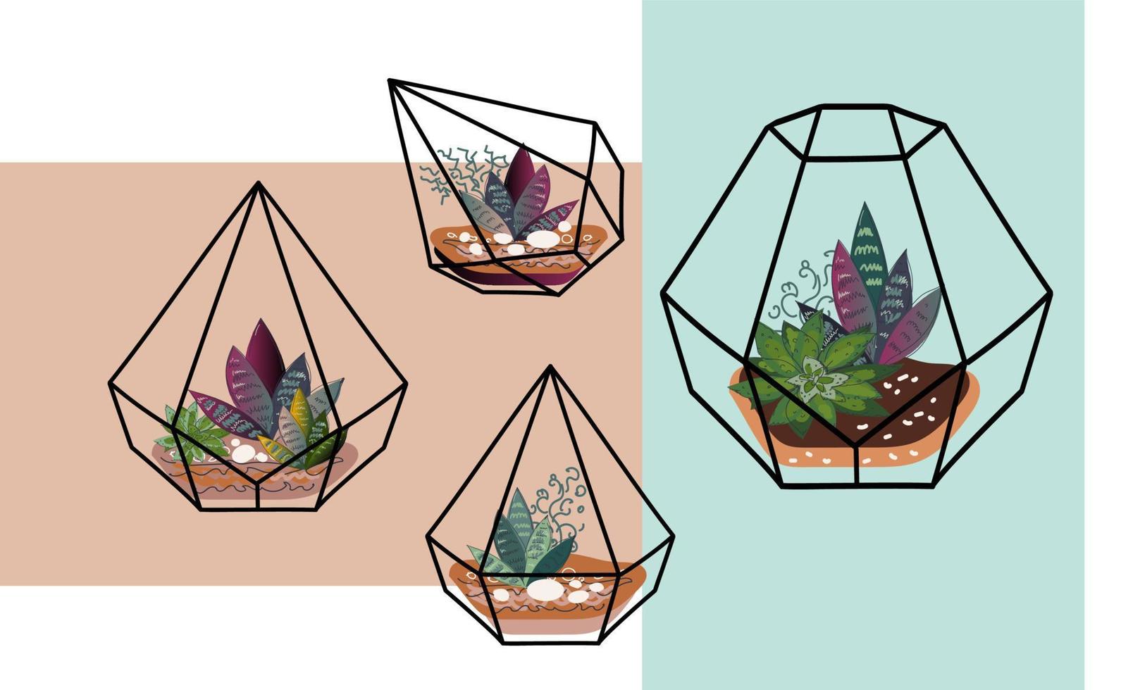 vidrio terrario suculento conjunto vector doodle