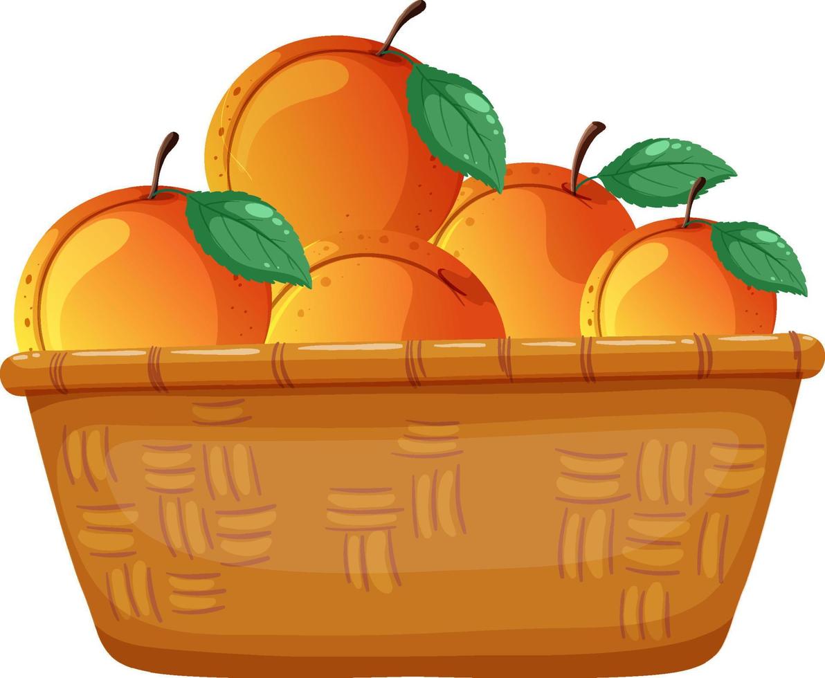 Peaches in a basket isolated vector