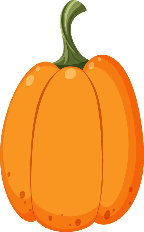 calabaza aislada en estilo de dibujos animados vector