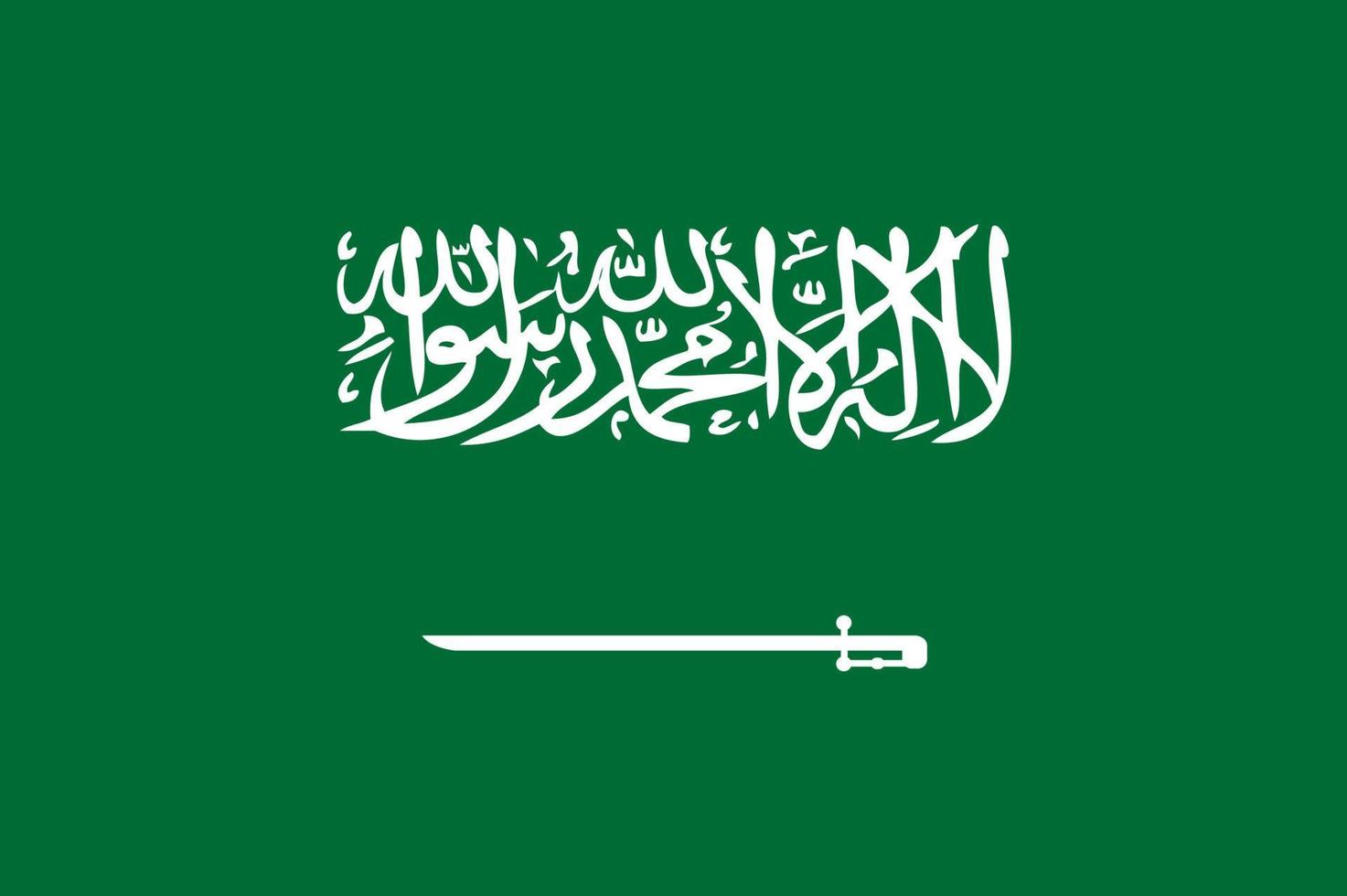 bandera dibujada a mano de arabia saudita, riyal saudí dibujado a mano vector