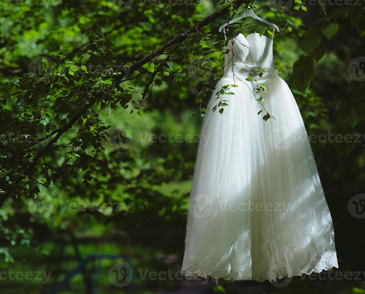 Wedding dress hanging on a tree photo