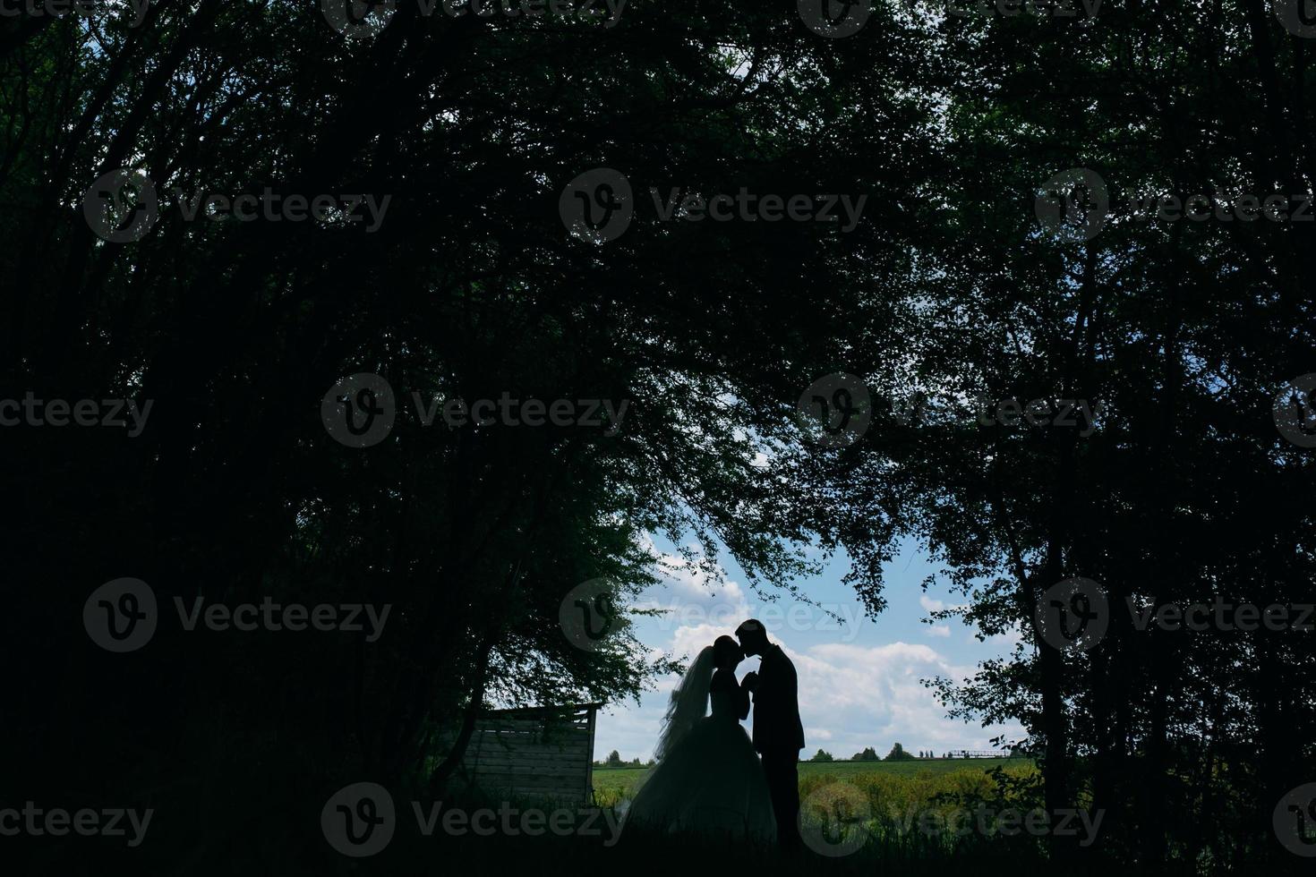 Beautiful wedding couple on nature photo