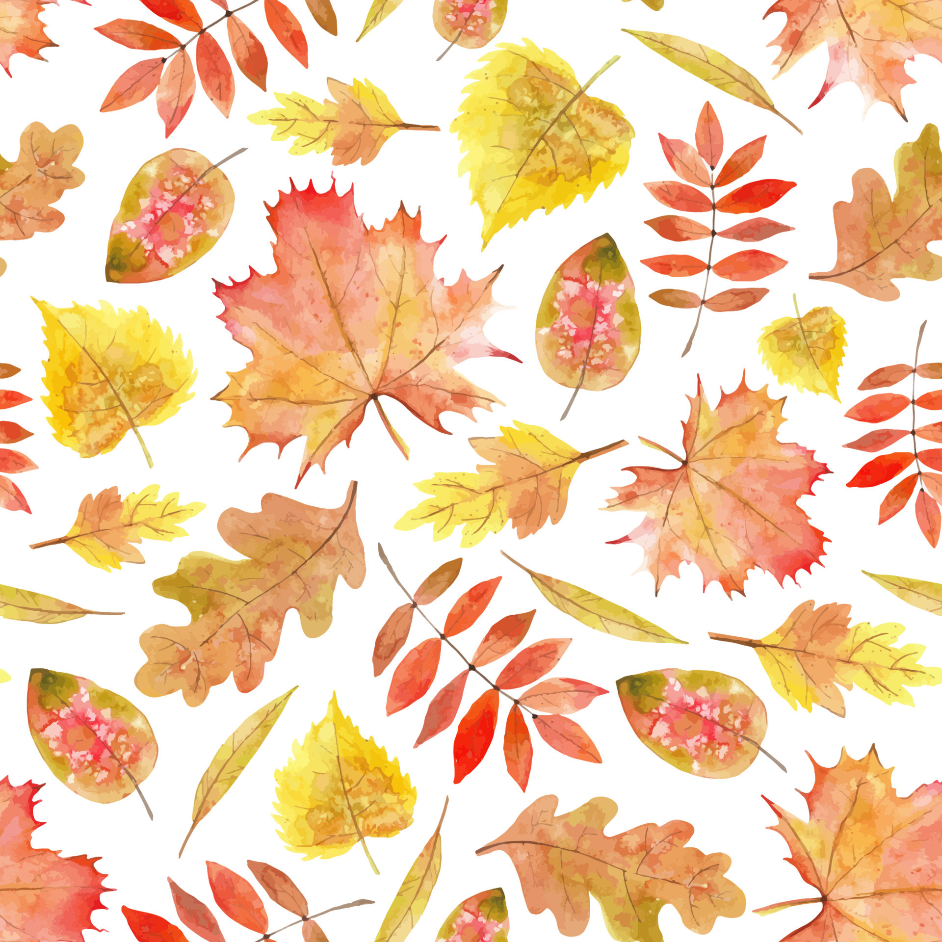 Autumn Leaves seamless Pattern. Watercolor hand drawn vector print with ...