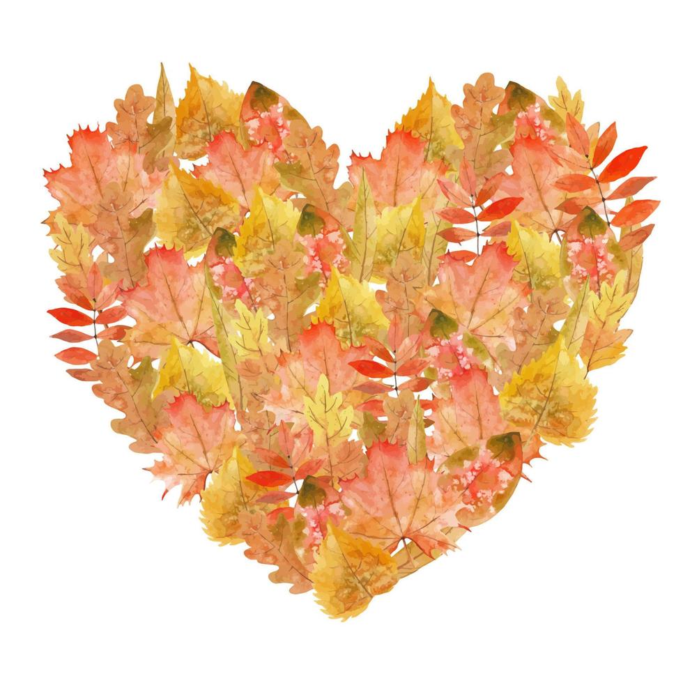 Heart with Autumn red and yellow Leaves. Hand drawn vector watercolor botanical illustration with Fall plants for wedding invitations or greeting cards. Frame for thanksgiving day design