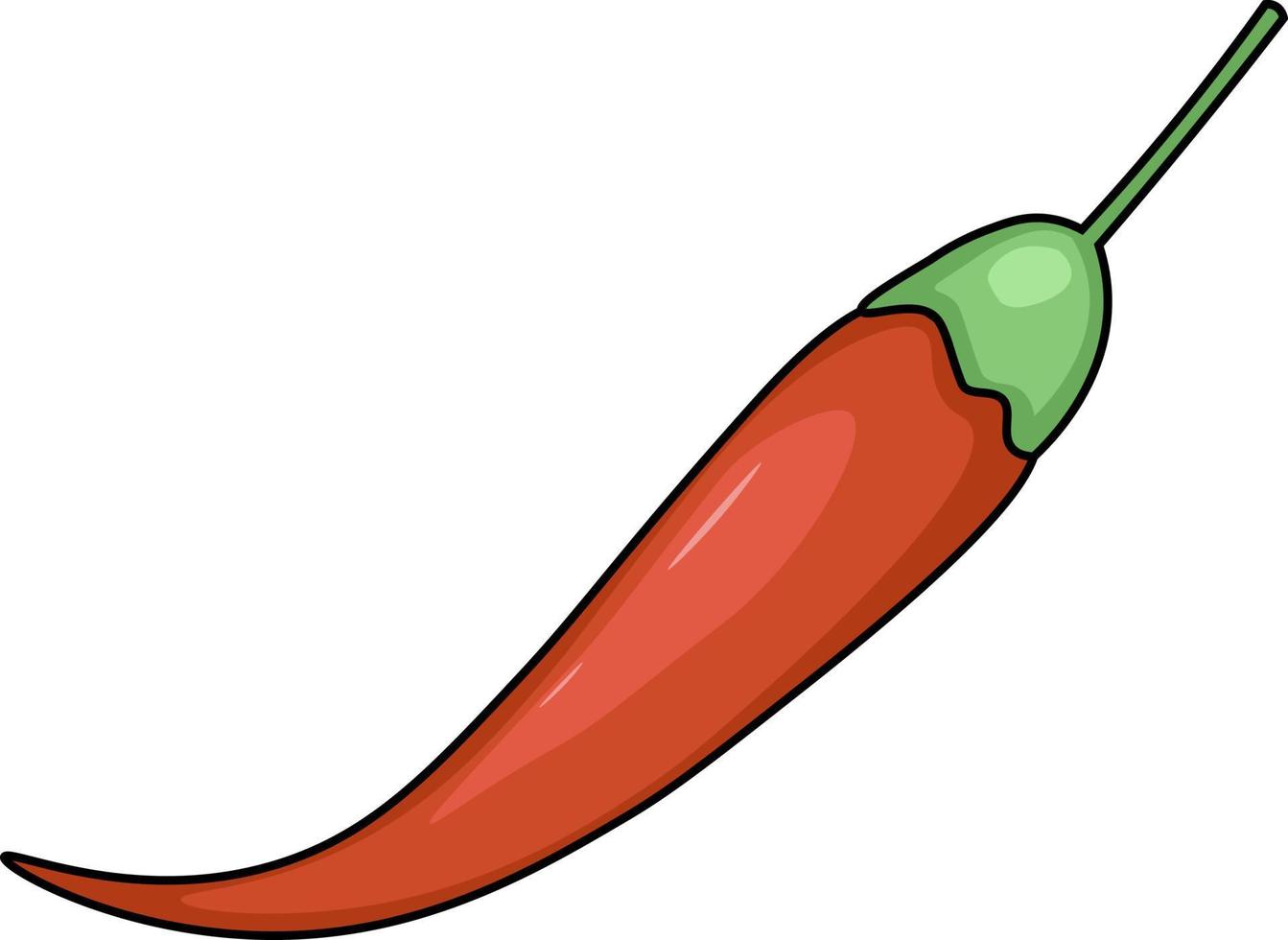 hot chili pepper vector