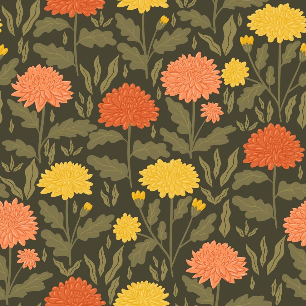 Seamless pattern with chrysanthemum flowers. Vector graphics.
