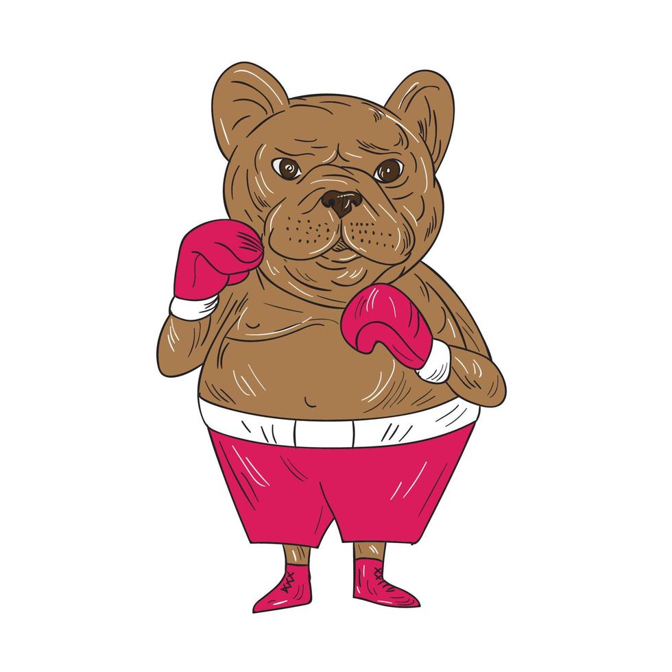 caricatura de postura de boxeo de boxeador de bulldog francés vector