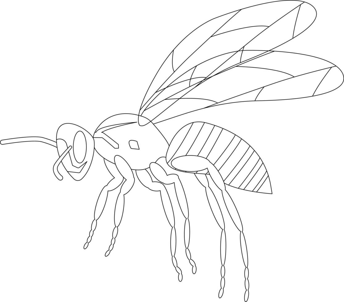 Wasp isolated on a white background. A wild insect. Outline. Vector illustration