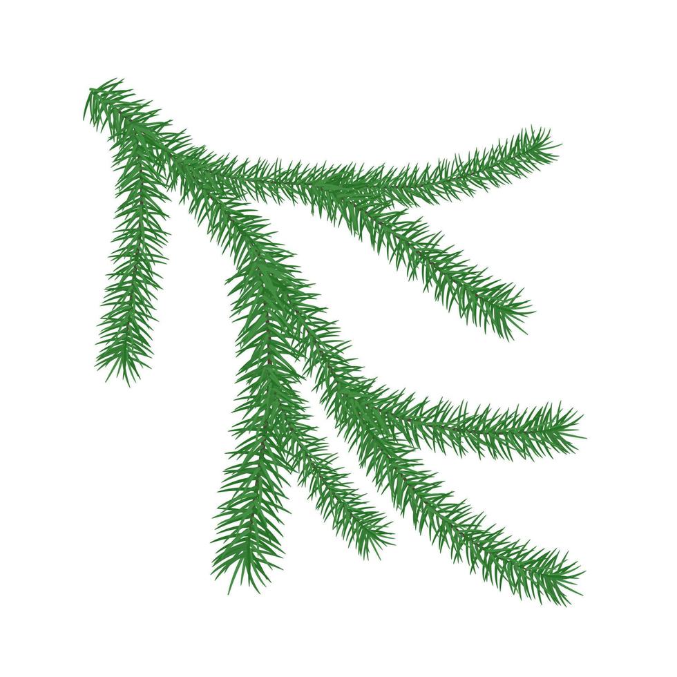 Christmas branch of pine element for web design. Nature abstract vector. illustration. Isolated on white background object. vector