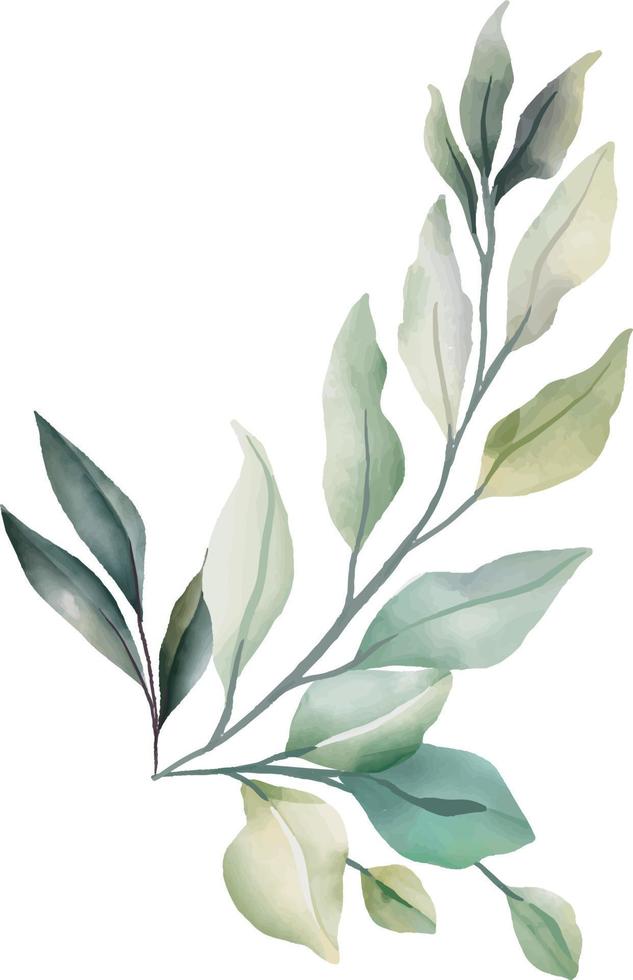 Leaves, flowers in watercolor for decoration. Lime green and gray color. vector