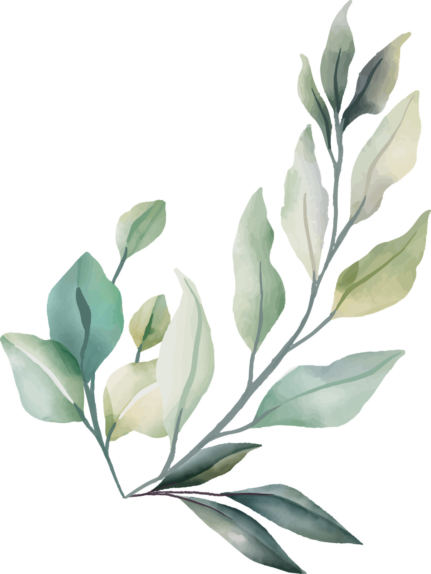 Leaves, flowers in watercolor for decoration. Lime green and gray color ...