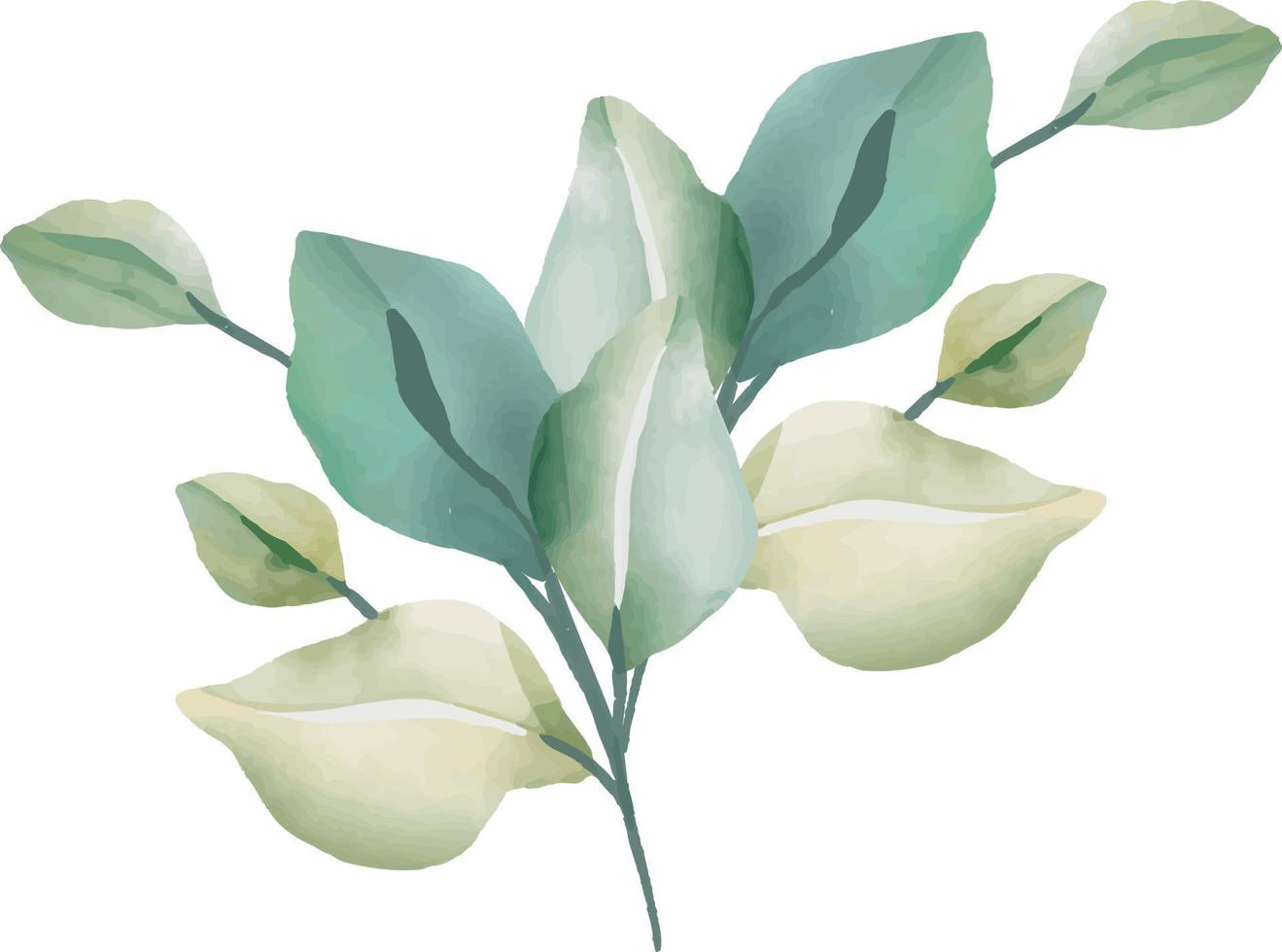 hojas, flores en acuarela para decoración. color verde lima y gris.  11499285 Vector en Vecteezy