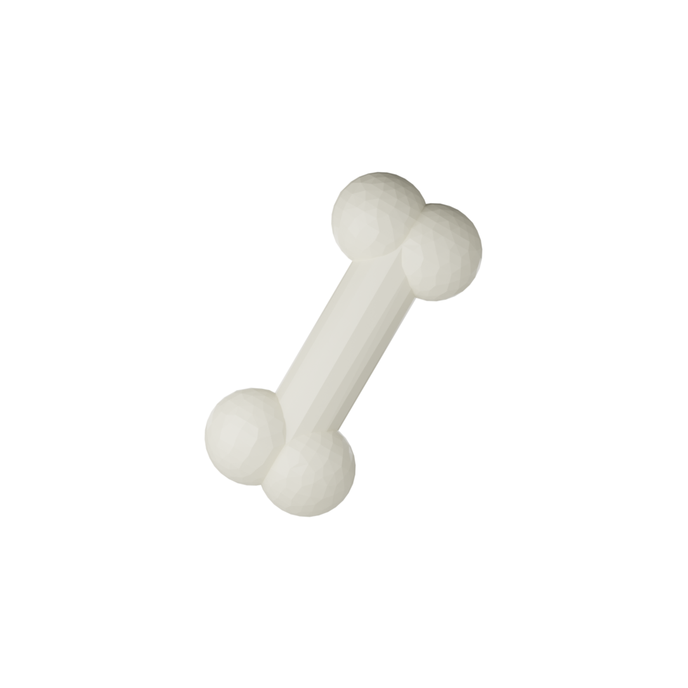 3d Isolated White Bone png