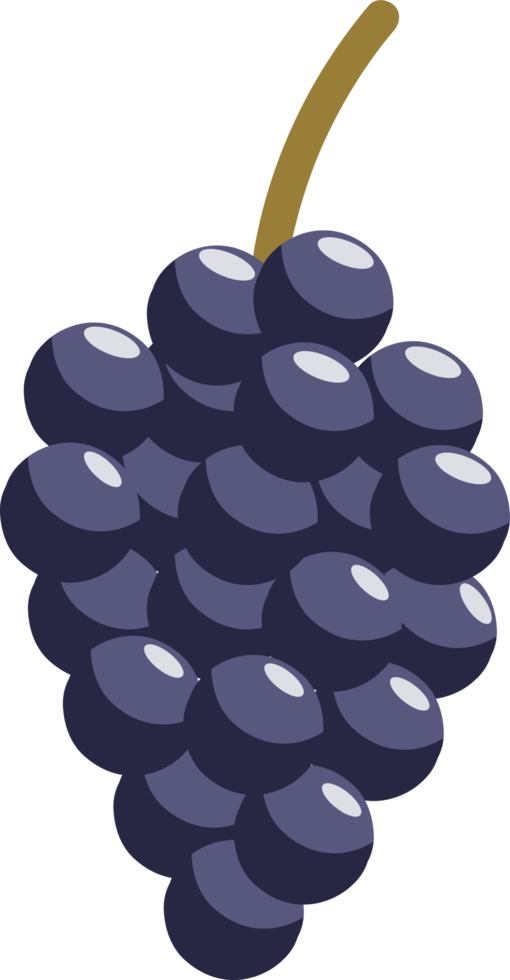 viola uva frutta mano disegnato illustrazione png