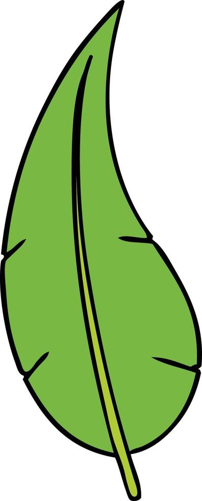 cartoon doodle of a green long leaf vector