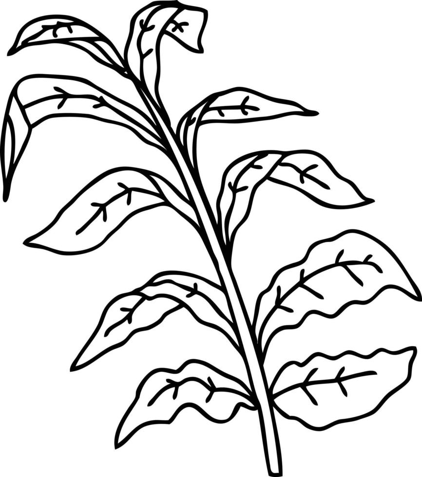 quirky line drawing cartoon vine leaves vector
