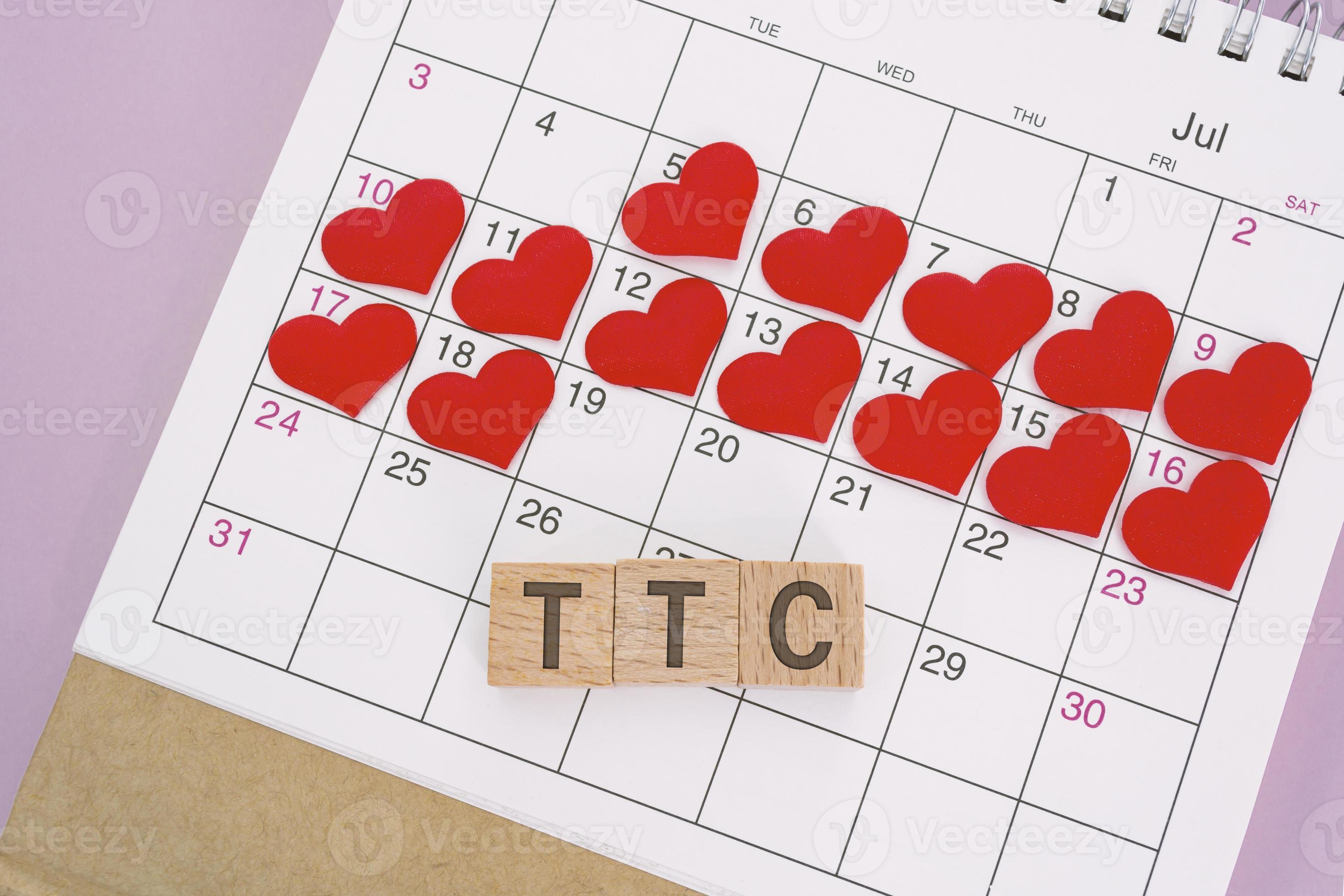 TTC word on wooden block with red heart shape on calendar. Trying To